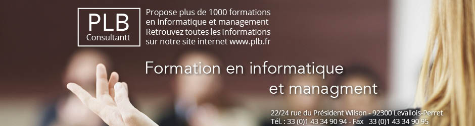 PLB Consultant