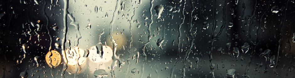 YALCIN AKBULUT   FAN