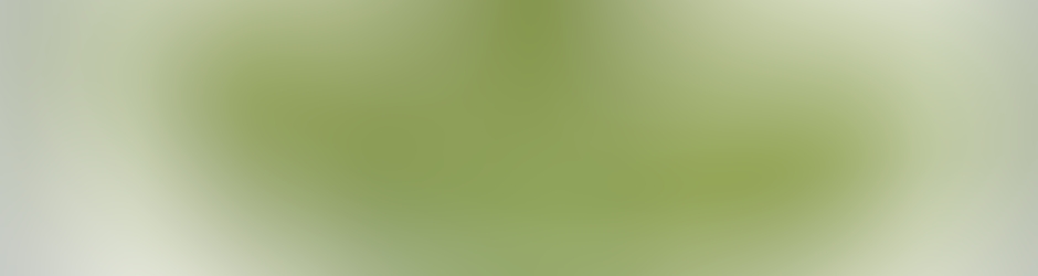 maison des marronniers