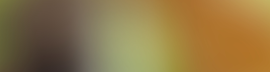 Hum Hain Pakistani....