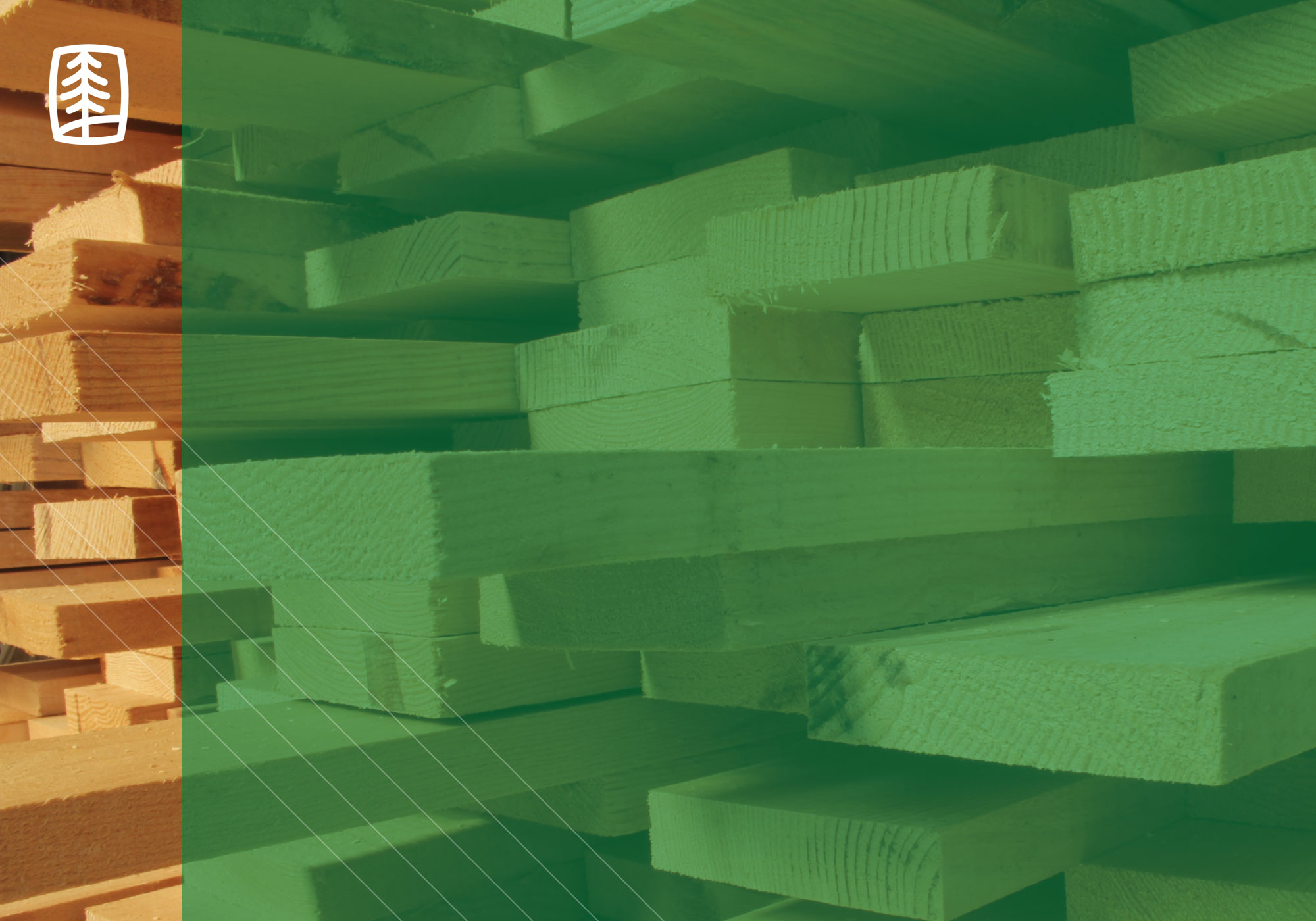 Ubeeco Packaging Solutions