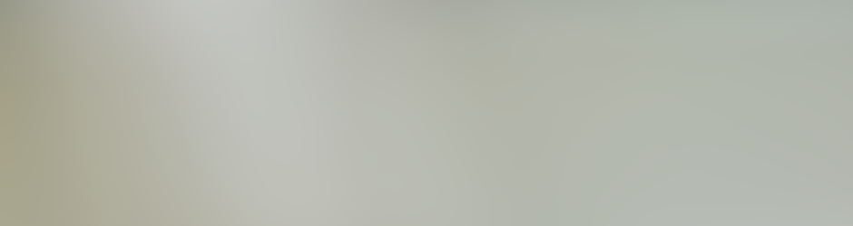 Иван Сорокин