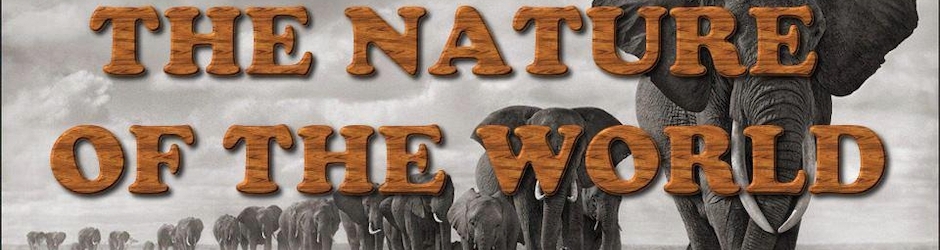 THE NATURE OF THE WORLD