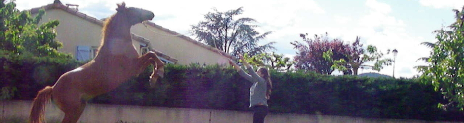 Hadj des Sources & Despéradoos de Loubac