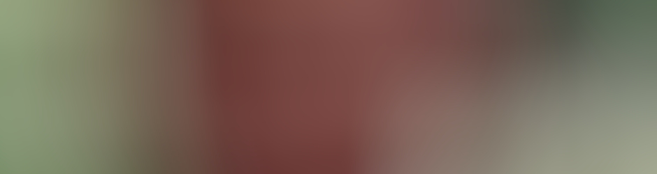 Nestor Flavien BOULOUKOUE