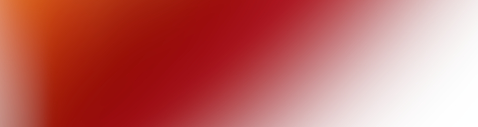 chrisworfolkfoundation