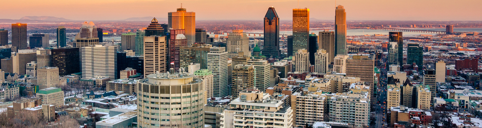 Les Grands Migrateurs