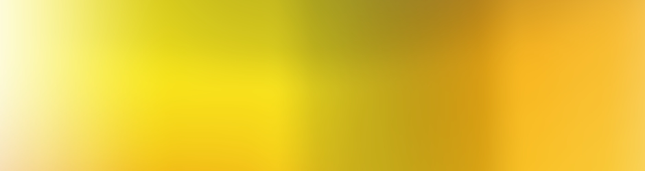 Conférence des religieux/ses de France