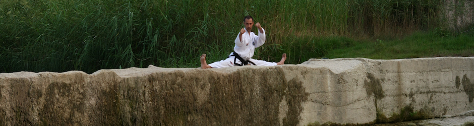 Dott Carlo Stanco Taekwo | PT | GYROTONIC® Trainer