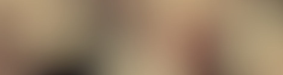 AsiaLoveAddictFansub