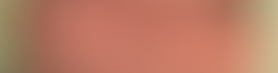 Michael Schneider-Bromberg