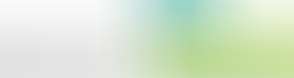 ISM Institut Supérieur de Management