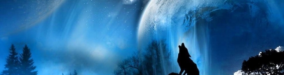 The Lone Wolf  Paradigm