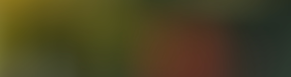 Chronoss Pavillon Noir