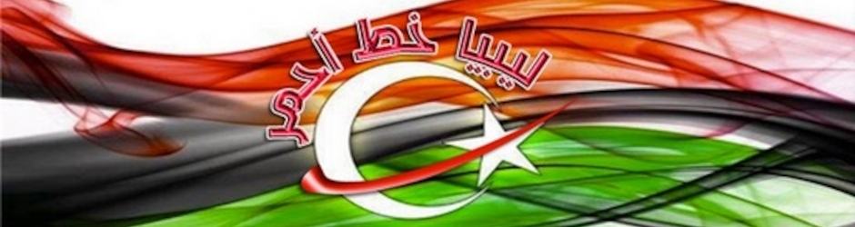 انتفاضة 17 فبراير 2011- لنجعله