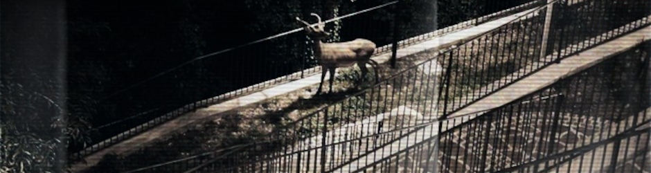 oliver lerone schultz