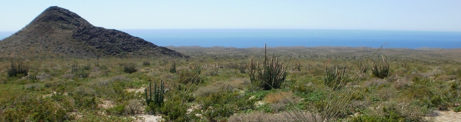 Lila Vak - Consciencia Plena