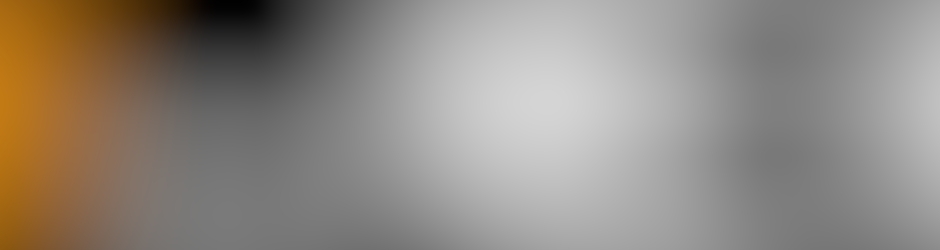 Jean michel le houerou