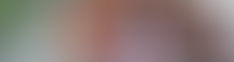 MEHMET Mehmet Düzgün