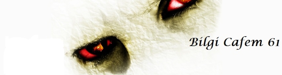 Bilgi Cafem61