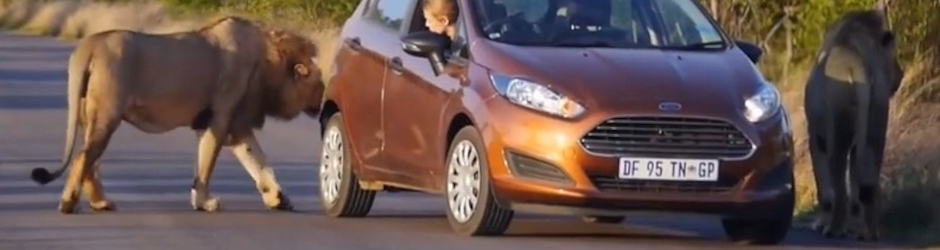 Kruger National Park