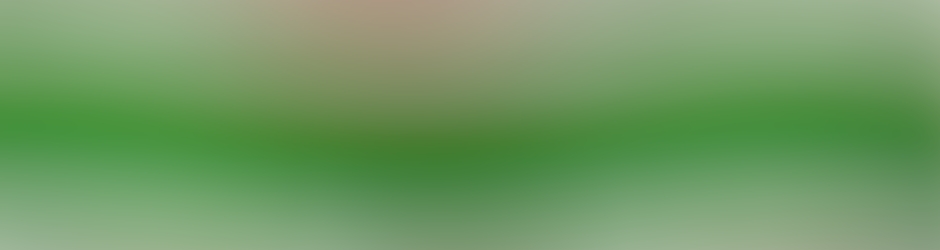 برامج رمضان