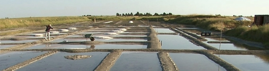 LVP documentaries / Oliver Dickinson