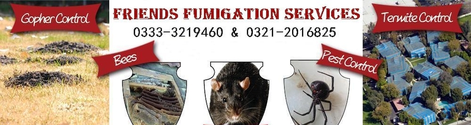 Dailymotion banner for @Fumigation
