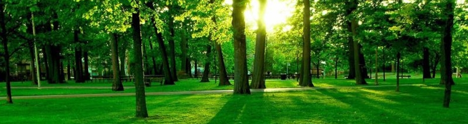 şarkılara sığınmak