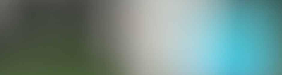 павел конюхов