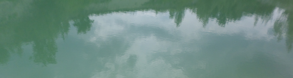 Владимир DeafNews by Boroda