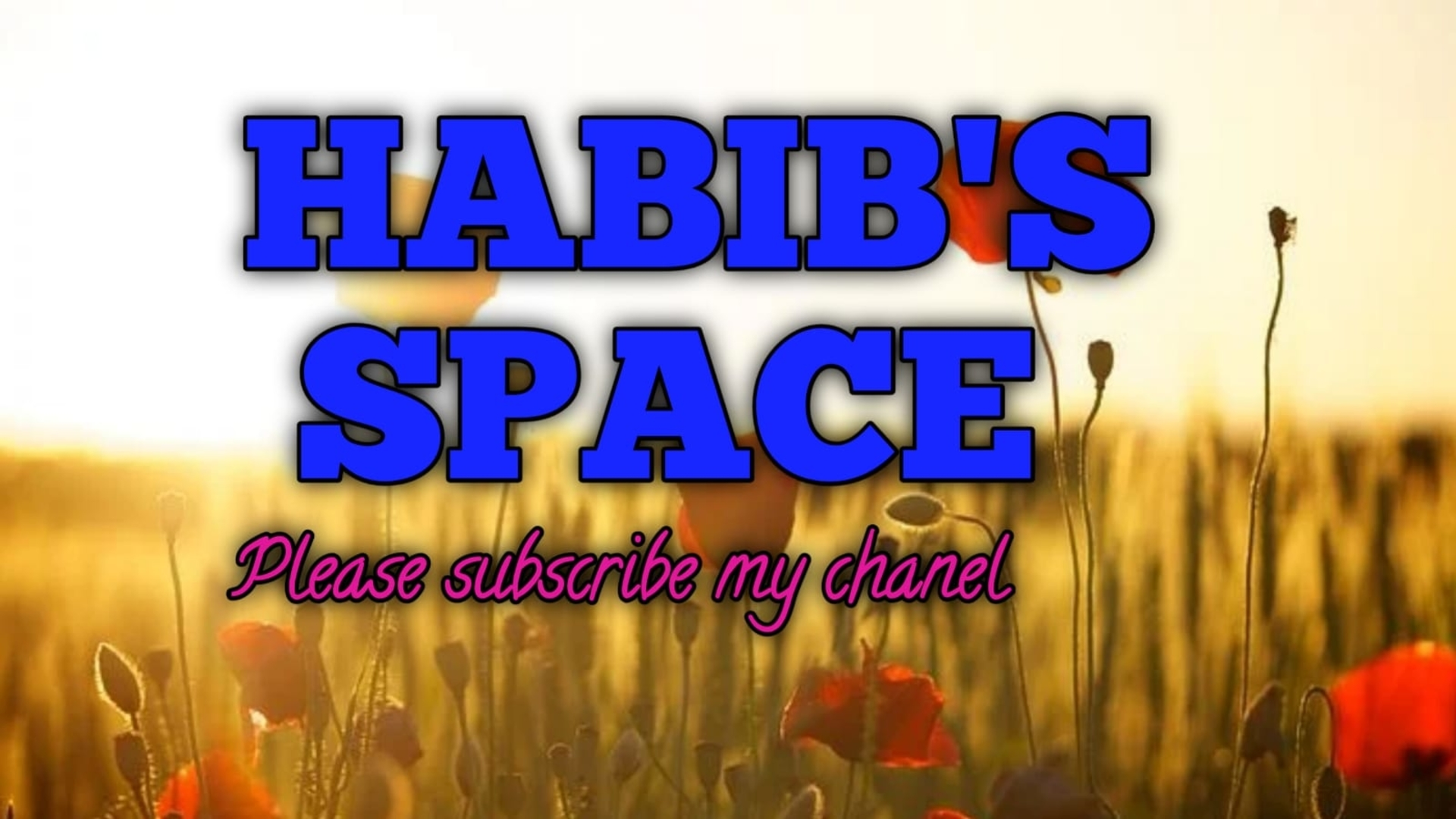 Habib's Space