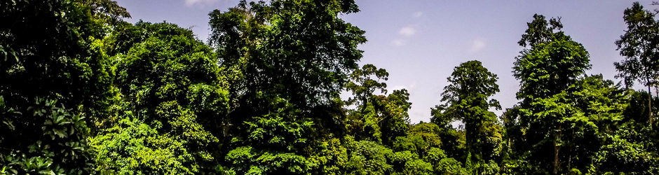 Kribi Golf & Country Club