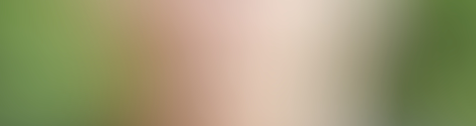 Віктор Котенко