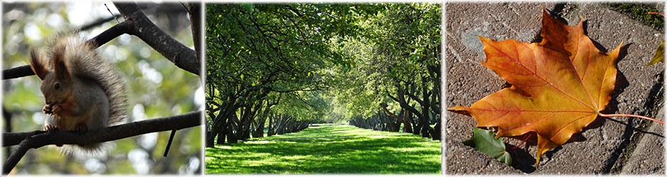 Все самое интересное в Москве и вокруг