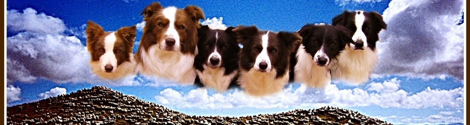 José Luis López Díaz