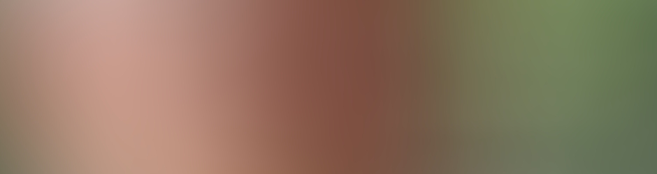 Jean-Hubert THIEFFRY