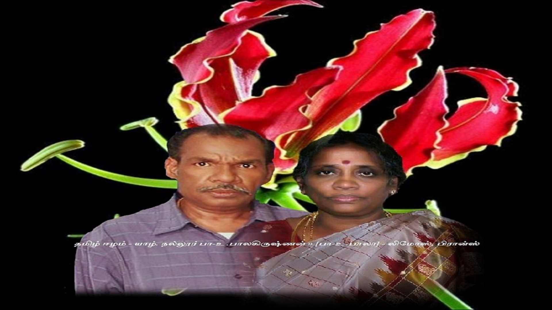 பா-உ .பாலகிருஷ்ணன்»[பா-உ .பாலா]»  லிமோஸ், பிரான்ஸ்