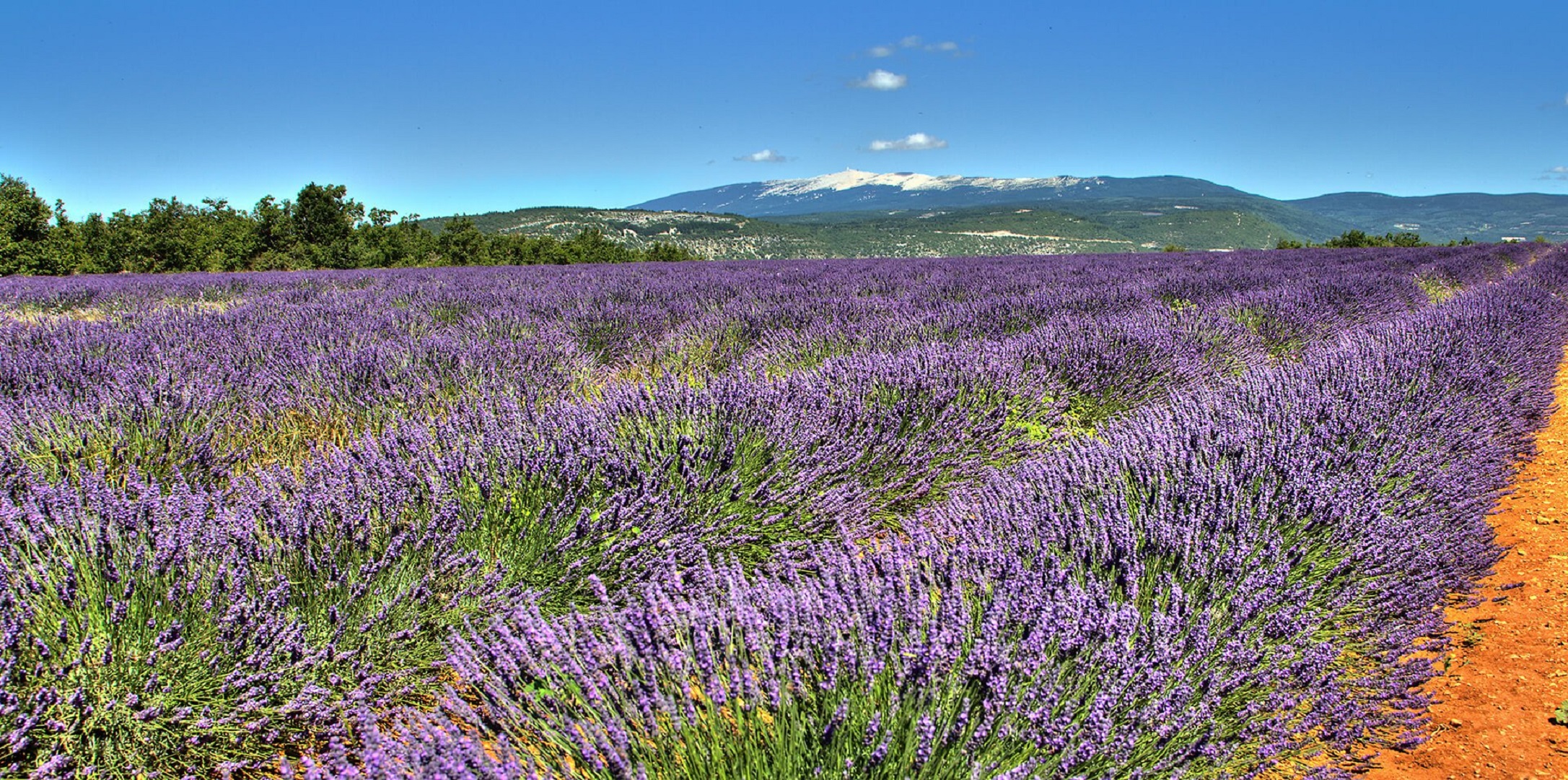 Immobilier Pays Mont Ventoux