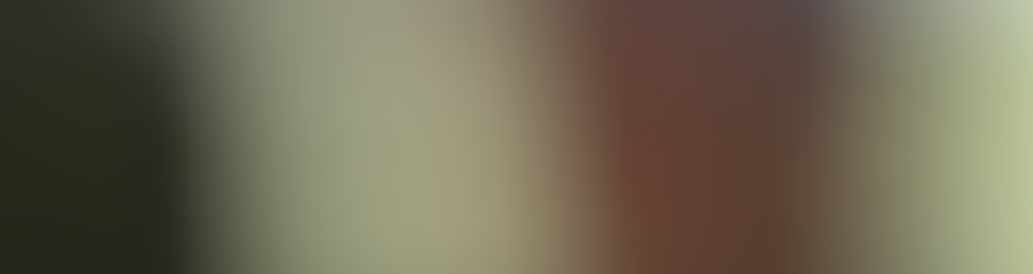 VALDEMIR MOTA DE MENEZES