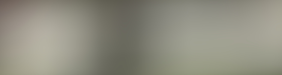 ชนม์สิทธิ์ มณีเรืองสุวรรณ