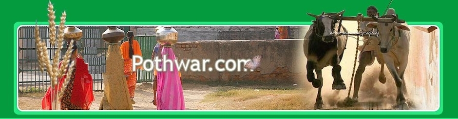 pothwar