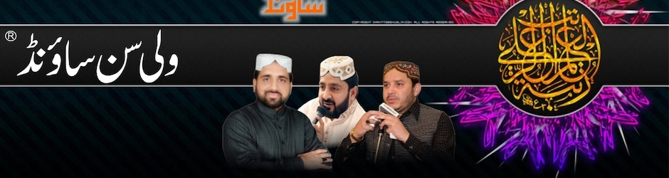 Wali Son Sound & Video