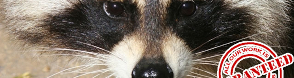 Paul Anthony Barletta