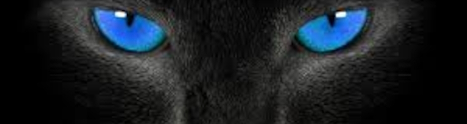 Mr Billa Bagar Billa