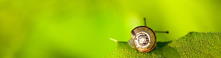 Health & Beauty Care