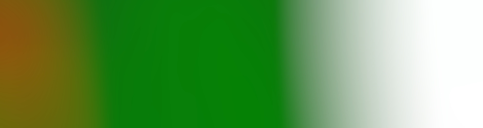 Daiana Ayelén Castillo