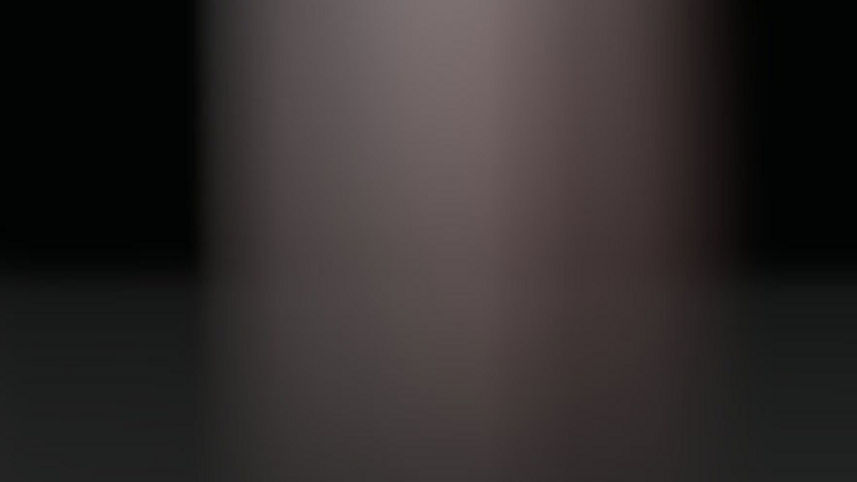 דוד רפאל - רפאל נדל