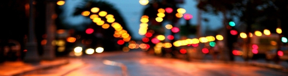 Sri Lanka Thawheed Jamaath SLTJ