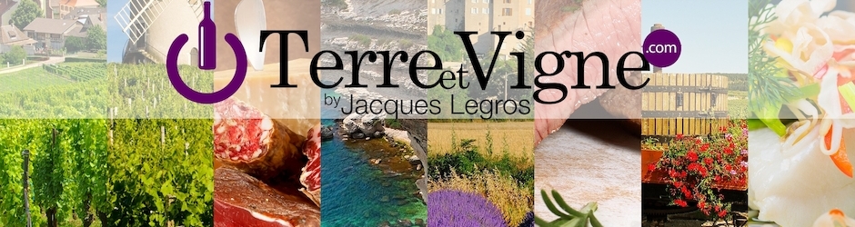 Terre et Vigne